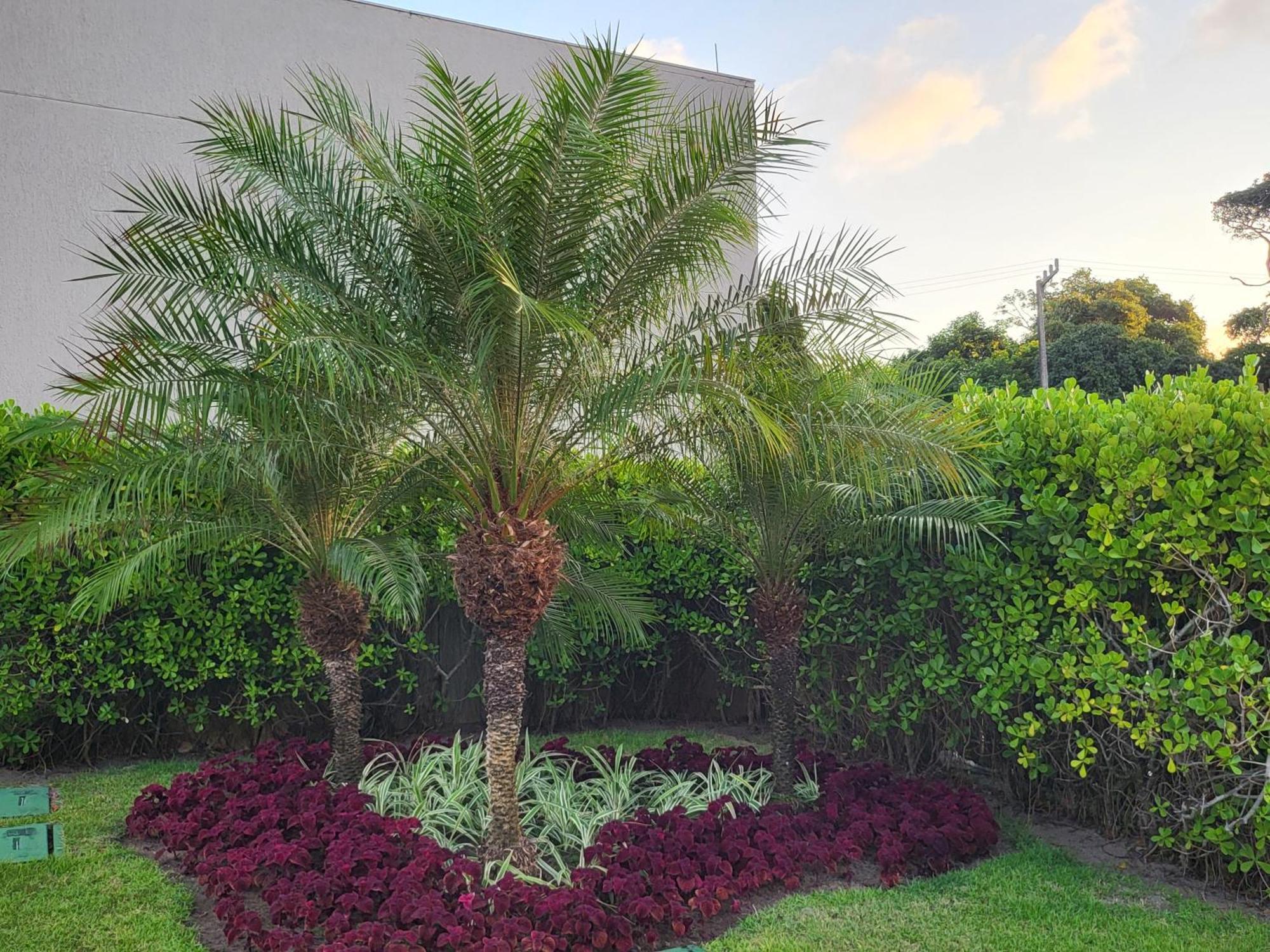 דירות Pôrto das Galinhas Boutique Ecolife מראה חיצוני תמונה