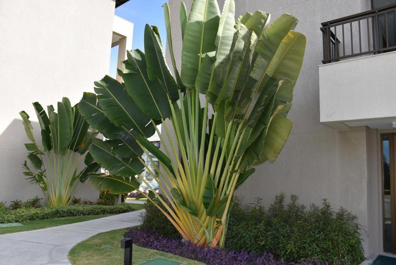 דירות Pôrto das Galinhas Boutique Ecolife מראה חיצוני תמונה